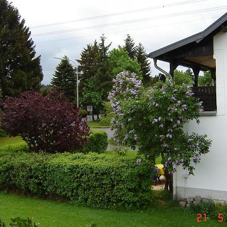 Urlaub Auf Dem Bauernhof Marx Villa Kelberg Eksteriør billede